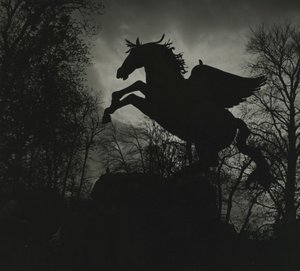 Pegasus-Statue in den Mirabellgärten von Godfrey Macdominic