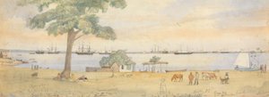 Greytown von Godfrey Thomas Vigne