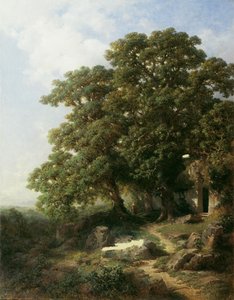 Kastanien in Südtirol
