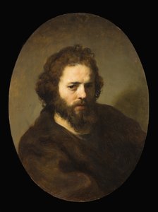 Porträt eines bärtigen Mannes von Govaert Flinck