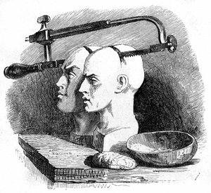 Illustration für Gullivers Reisen von Jonathan Swift