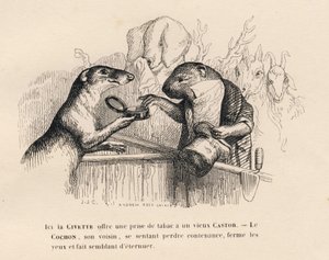 Eine Zibetkatze bietet einem alten Biber eine Prise Tabak an, das Schwein dahinter versucht sich zu beherrschen. Illustrierte Vignetten von JJ Granville. Gravur signiert Andrew Best und Leloir im Prolog "Parlamentarische Zusammenfassung" geschrieben von PJ von Grandville