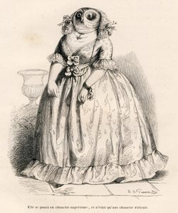 Eule, die sich überlegen fühlt, aber nur lächerlich ist. Vignetten illustriert von JJ Granville. Gravur signiert Rouget im Teil "Erinnerungen einer alten Krähe" geschrieben von PJ Stahl in "Szenen aus dem privaten und öffentlichen Leben der Tiere"
