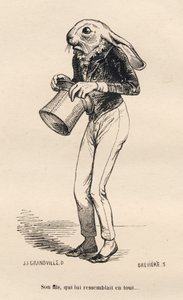 Ängstlicher Hase im Dandy-Kostüm. Illustrierte Vignetten von JJ Granville. Gravur signiert Breviere im Teil "Geschichte eines Hasen" geschrieben von PJ Stahl in "Szenen aus dem privaten und öffentlichen Leben der Tiere". Paris, J. Hetzel et Paulin von Grandville