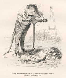 Maus durchbohrt den Boden. Vignetten illustriert von JJ Granville. Gravur signiert Breviere im Teil "Erinnerungen einer alten Krähe" geschrieben von PJ Stahl in "Szenen aus dem privaten und öffentlichen Leben der Tiere". Paris, J. Hetzel und Paulin
