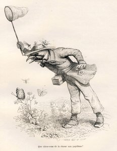 Vogel jagt Schmetterlinge. Vignetten illustriert von JJ Granville. Gravur signiert Andrew, Best und Leloir in dem Teil "Ein Fuchs in der Falle" geschrieben von Charles Nodier in "Szenen aus dem privaten und öffentlichen Leben der Tiere". Paris, J. Hetzel