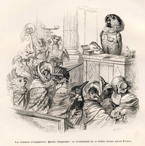 Beredsamer Papagei. Vignetten illustriert von JJ Granville. Gravur signiert Porret im Teil "Esel-Führer für Tiere, die zu Ehren gelangen wollen" geschrieben von Honore De Balzac in "Szenen aus dem privaten und öffentlichen Leben der Tiere" von Grandville
