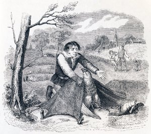 Der Vogelfänger, der Habicht und die Lerche - Fabeln von La Fontaine von Grandville