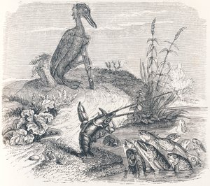 Die Fische und der Kormoran (Les poissons et le cormoran) - Fabeln von La Fontaine von Grandville