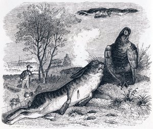 Der Hase und das Rebhuhn - Fabeln von La Fontaine von Grandville