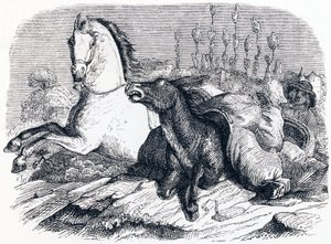 Das Pferd und der Esel - Fabeln von La Fontaine von Grandville