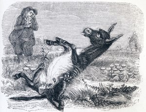 Der alte Mann und der Fuchs von Grandville