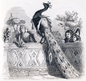Der Pfau, der sich bei Juno beschwert - Fabeln von La Fontaine von Grandville
