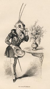 Ein alter Schmetterling, der mit seiner Brille auf die Uhr schaut. Vignetten illustriert von JJ Granville. Gravur signiert von Breviere im Teil "Die Abenteuer eines Schmetterlings" geschrieben von PJ Stahl in "Szenen aus dem privaten und öffentlichen Leben von Grandville