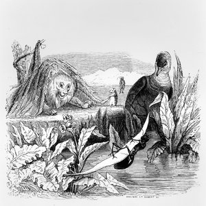 Die Taube und die Ameise und der Löwe und die Ratte, Illustration für 