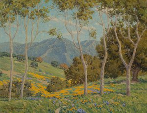 Mohnblumen und Eukalyptus