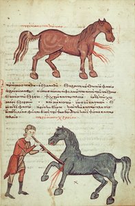 Ms Grec 2244 fol.4 Operation an einem Pferd von Greek School