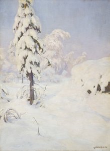 Winter im Wald