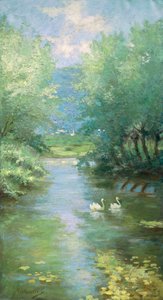 Landschaft mit Schwänen