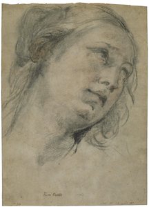 Der Kopf einer jungen Frau, die nach oben schaut von Guido Reni