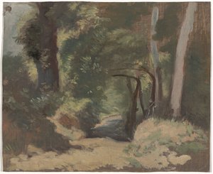 Waldweg