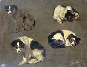 Vier Studien eines Hundes von Guillaume Anne van der Brugghen