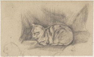 Liegende Katze nach links