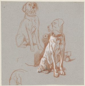 Zwei Studien eines sitzenden Hundes von Guillaume Anne van der Brugghen