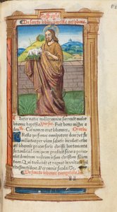 Gedrucktes Stundenbuch (Gebrauch von Rom): fol. 98r, St. Johannes der Täufer von Guillaume Le Rouge