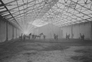Pferde und Stallburschen im Tan Gallop, Welbeck Estate von Gunn and Stuart