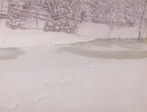 Neugefallener Schnee