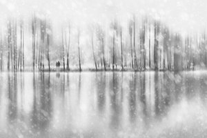 Winterpaar-Reflexion von Gustav Davidsson