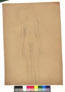 Stehender weiblicher Akt von Gustav Klimt