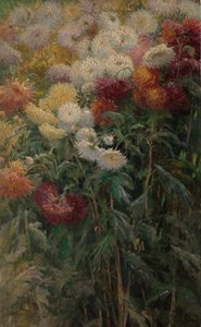 Chrysanthemen im Garten von Petit-Gennevilliers, 1893