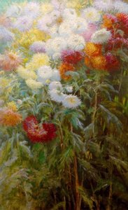Chrysanthemenbeet, Garten des Petit Gennevilliers