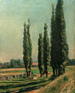 Pappeln auf dem Damm von Argenteuil, bei Petit Gennevilliers von Gustave Caillebotte