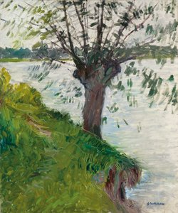Weide am Fluss; Saule au bord de la rivière, ca. 1891