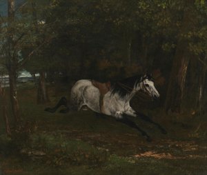 Durchgehendes Pferd von Gustave Courbet