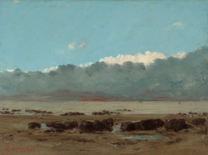 Schwarze Felsen bei Trouville