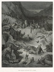 Die kranken Tiere der Pest von Gustave Dore