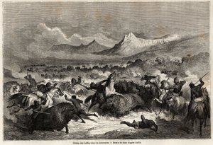Büffeljagd unter den Delawaren, Ureinwohnern am gleichnamigen Fluss. Zeichnung von Gustave Doré zur Illustration der Reise von Baudouin Mollhausen von Mississippi zum Pazifik 1853-54. Gravur