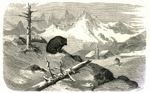 Gravur von Gustave Doré, die das Buch „Reise in die Pyrenäen“ von Hippolyte Taine, Hachette 1860, illustriert. Ein Bär beobachtet einen Mann, der auf sein Haus in den Bergen zugeht.