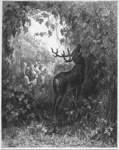 Der Hirsch und die Rebe - aus "Fabeln" von Jean de La Fontaine von Gustave Dore