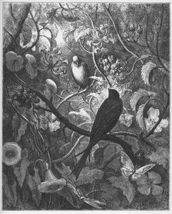 Philomele und Progne - aus "Fabeln" von Jean de La Fontaine von Gustave Dore