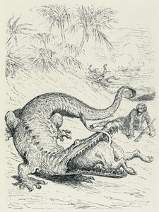 „Die Abenteuer des Baron von Münchhausen“: Der furchtlose Baron von Münchhausen, verfolgt von einem Löwen, kreuzt den Weg eines riesigen Krokodils, das den Löwen verschlingen wird. Illustration von Gustave Doré Ende des 19. Jahrhunderts von Gustave Dore