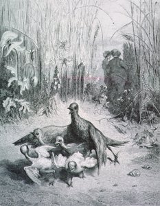 Die Fabel von der Lerche, ihren Jungen und dem Feldherrn, Illustration für die Fabeln von La Fontaine von Gustave Dore