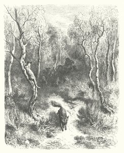 Die Fabeln von La Fontaine: Die Katze und der Fuchs (Gravur) von Gustave Dore