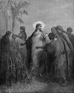 Die Jünger pflücken Korn am Sabbat