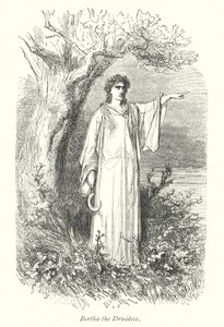 Windsor Forest (Gravur) von Gustave Dore