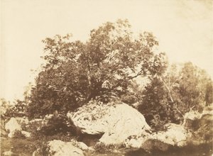 Felsbrocken bei Cabat, Epine-Kreuzung Wald von Fontainebleau von Gustave Le Gray